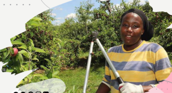 TRINI SEASONAL WORKERS IN CANADA RUNNING SCARED